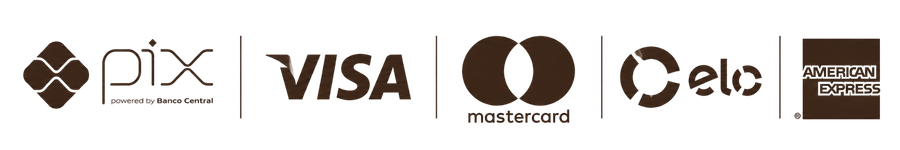 Formas de pagamento: Pix, Visa, Mastercard, Elo e American Express